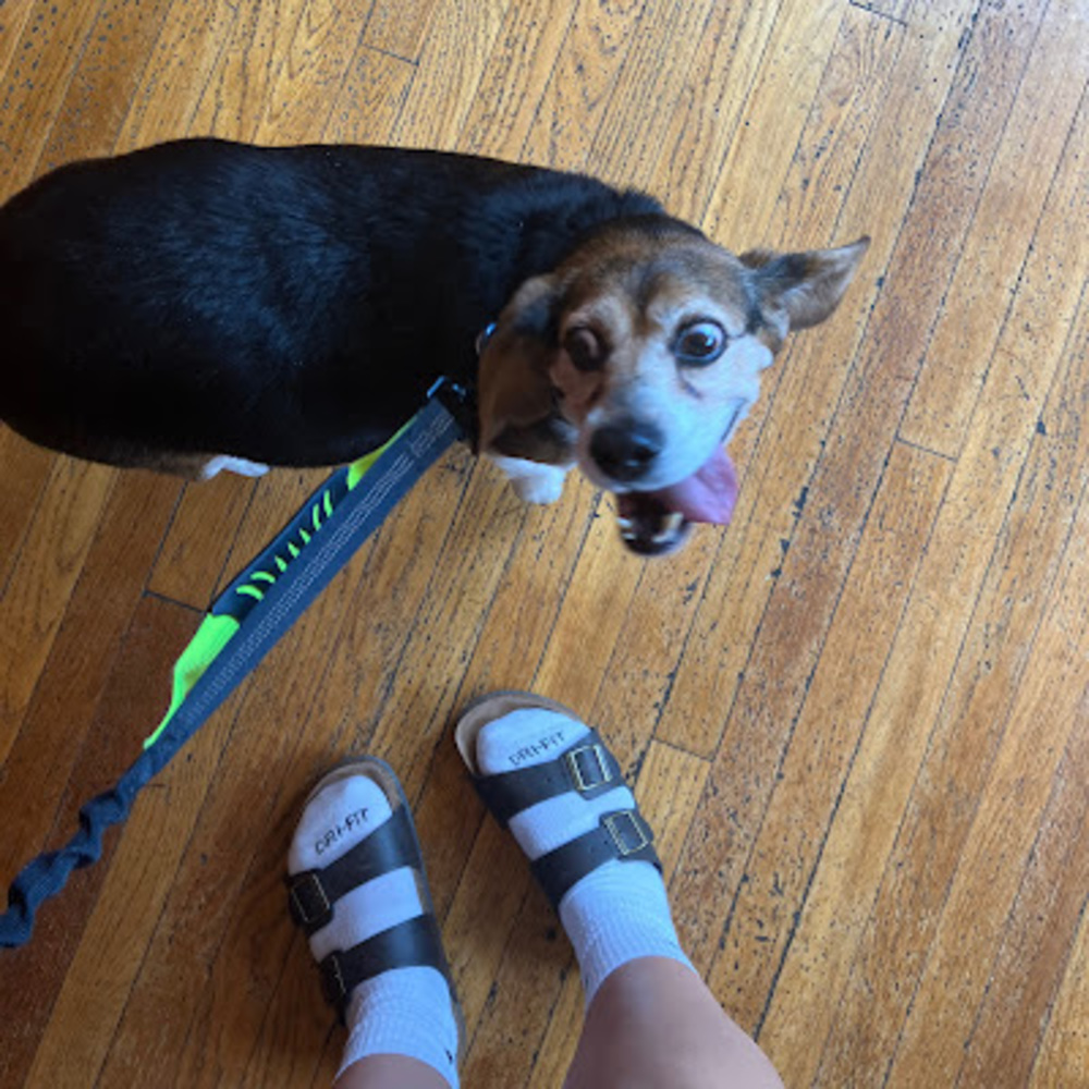 Meet your Posher, Aubrey